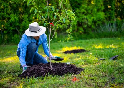 Make The Most of Your Green Space