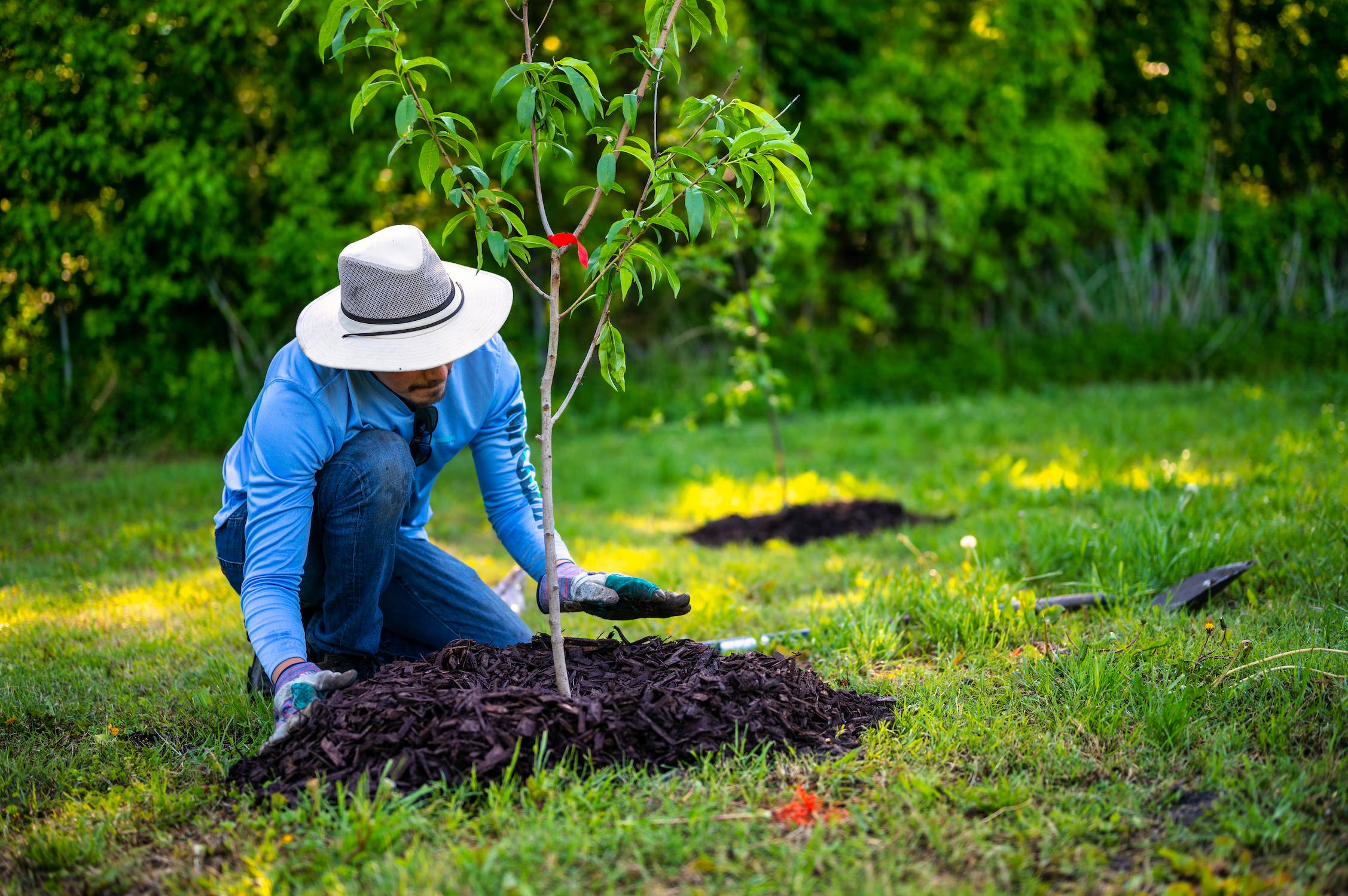 Make The Most of Your Green Space